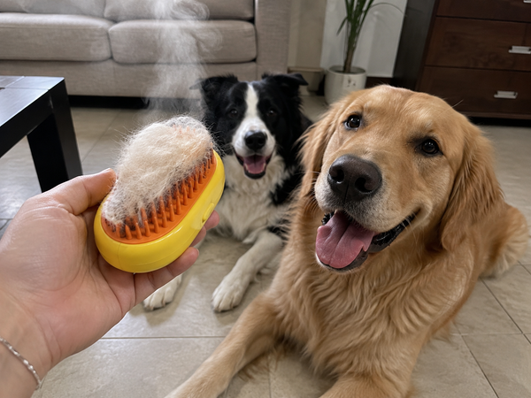 Foto de reseña